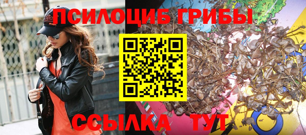 Псилоцибиновые грибы Psilocybe  где можно купить наркотик  Холмск  Вход с VPN  Псилоцибиновые грибы GOLDEN TEACHER 
